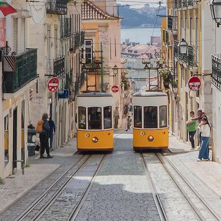 Bica By Pedro